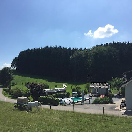 Hafners Im Allgaeu Kißlegg Extérieur photo